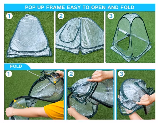 Mini serre pop-up avec couverture transparente, plante protégée, maison de culture, abri de tente de fleurs portable pour jardin, arrière-cour extérieure