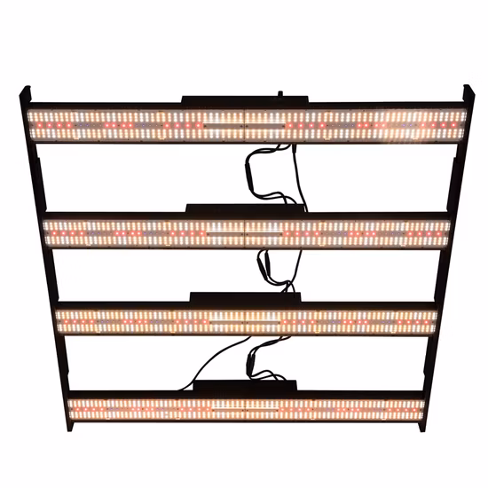 Redfarm Hydroponics System Système de culture d'intérieur Commercial LED Grow Lights 1000W Bud Booster Light