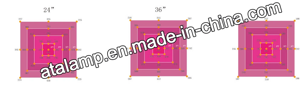 Chinese Suppliers Beam Angle Full Spectrum IP65 1000W Waterproof Quantum Board LED Grow Light for Automated Hydroponic