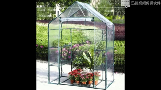 Mini serre pop-up avec couverture transparente, plante protégée, maison de culture, abri de tente de fleurs portable pour jardin, arrière-cour extérieure