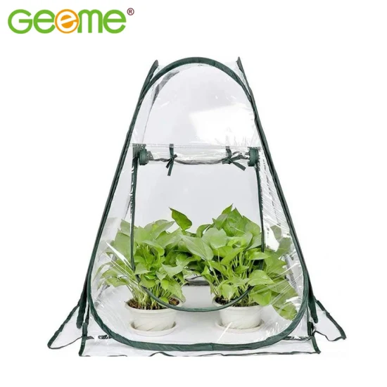 Fournissez Amazon Mini petite serre avec couverture en plastique transparent Flower House, Portable Pop up Plant Grow Tent Shelter for Outdoor Garden Backyard